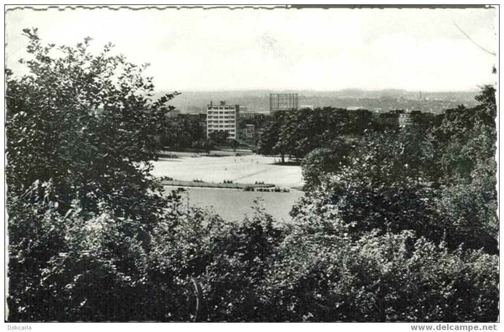 Forest - Parc - Grande Plaine De Jeux Et Panorama - Forest - Vorst