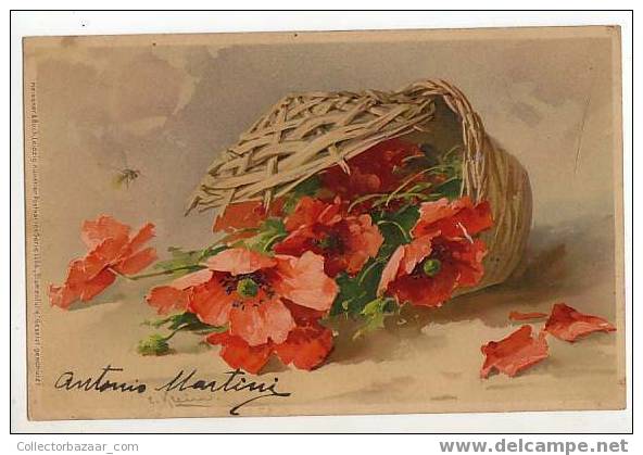 Flowers Catherin Klein Signed Postcard Ca 1900 - Otros & Sin Clasificación