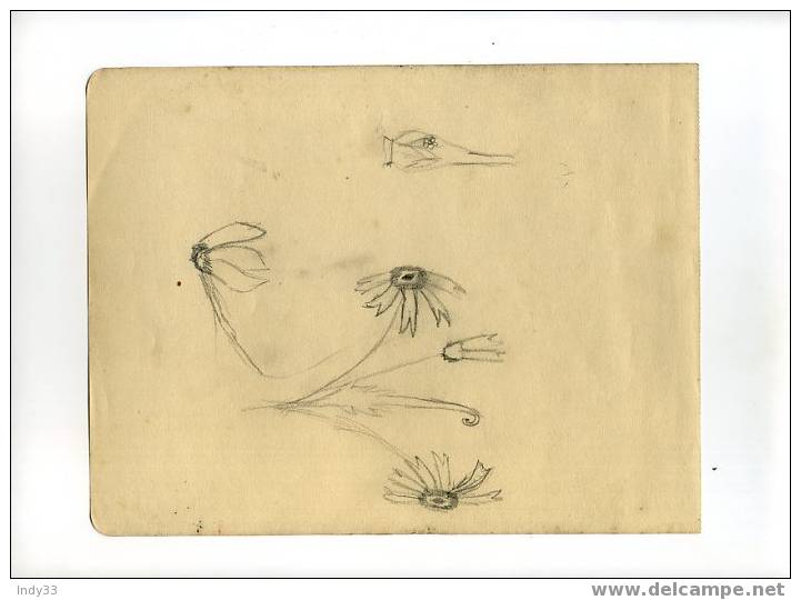 - FLEURS. DESSIN PROVENANT D´UN CARNET DE CROQUIS FAITS A ALGER EN 1941 . - Zeichnungen