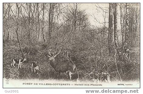 VILLERS COTTERETS (02) HALLALI AUX PLANARDS - Villers Cotterets