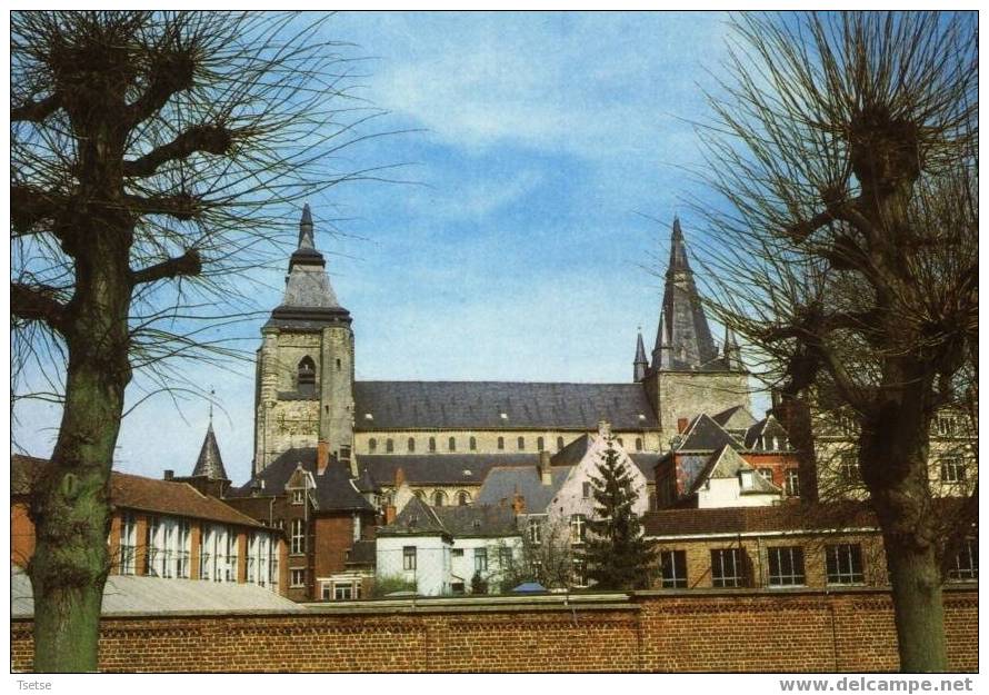 Soignies -Collégiale Romane ( Xe-XIIIe Siècle ) - Carte Moderne - Soignies