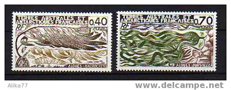 TAAF    Neuf **  Y. Et T. N° 68/69           Cote: 4,10 Euros - Unused Stamps