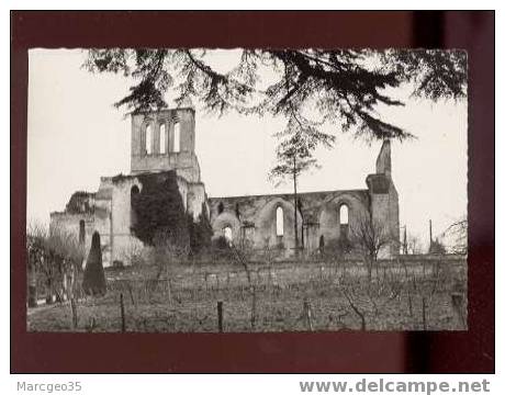 17706 Doué La Fontaine Ruines De La Chapelle St Denis ... édit.combier Belle Cpsm - Doue La Fontaine