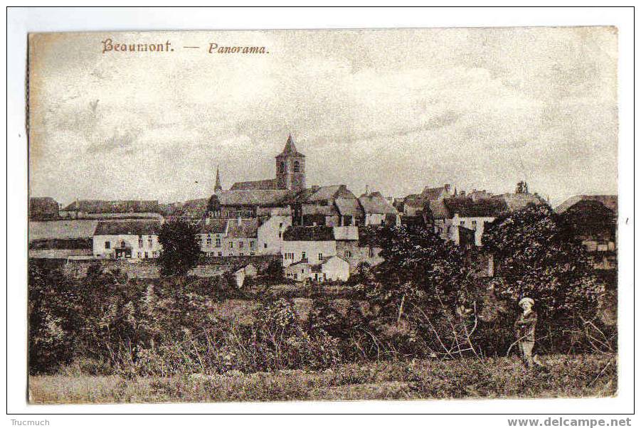 9779 -  BEAUMONT - Panorama - Beaumont
