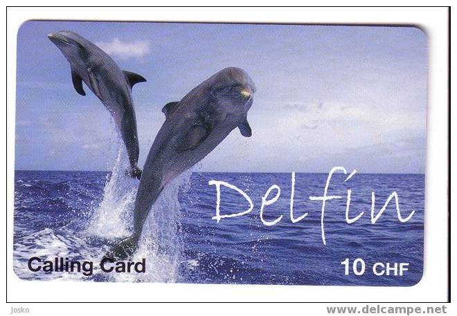 DOLPHINS ( Switzerland ) * Dolphin Dauphin Delfin Delphin Delfino Golfinho Dolfijn Dauphins * Fish Poisson Pesci Suisse - Delfines