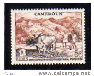 Cameroun:  1955 N° 300, Série F.I.D.E.S, Très Très Légères Traces De Charnière,TB* - 30% DE LA COTE - Autres & Non Classés