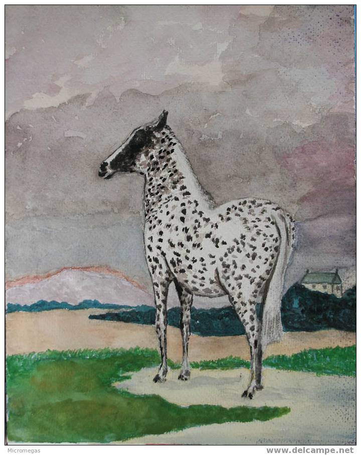 Aquarelle : Cheval - Aquarel