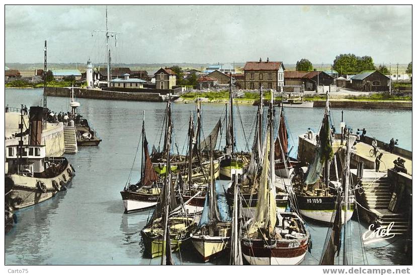 HONFLEUR 14 - Bâteaux Dans Le Port - Honfleur