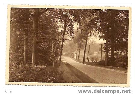 Grez Doiceau- Environs De Grez Doiceau A L'entrée Du Bois De Beausar-Imprimerie Michaux,Grez Doiceau Gelopen Kaart  Nels - Grez-Doiceau