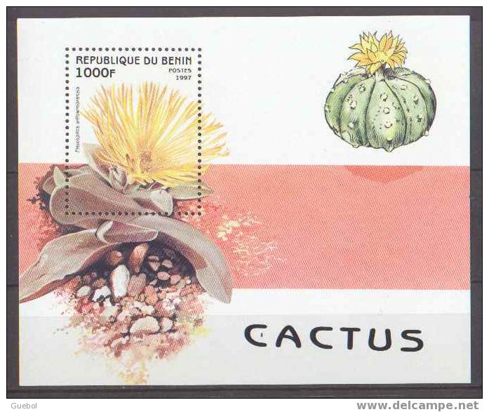 Benin Végétaux Cactus BF N°  38 ** Fleur - Cactussen
