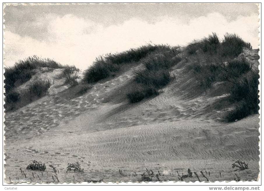 Middelkerke:  Le Sentier Tracé Dans La Dune - Middelkerke