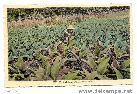 Rochehaut: Plantation De Tabac - Bouillon