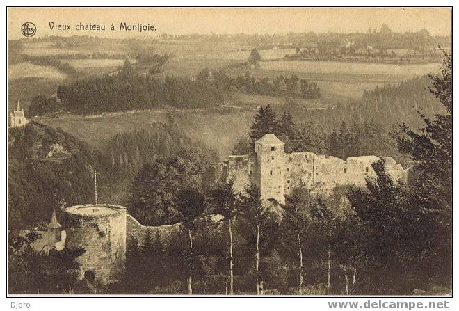 Vieux Chateau à Montjoie - Elsenborn (camp)