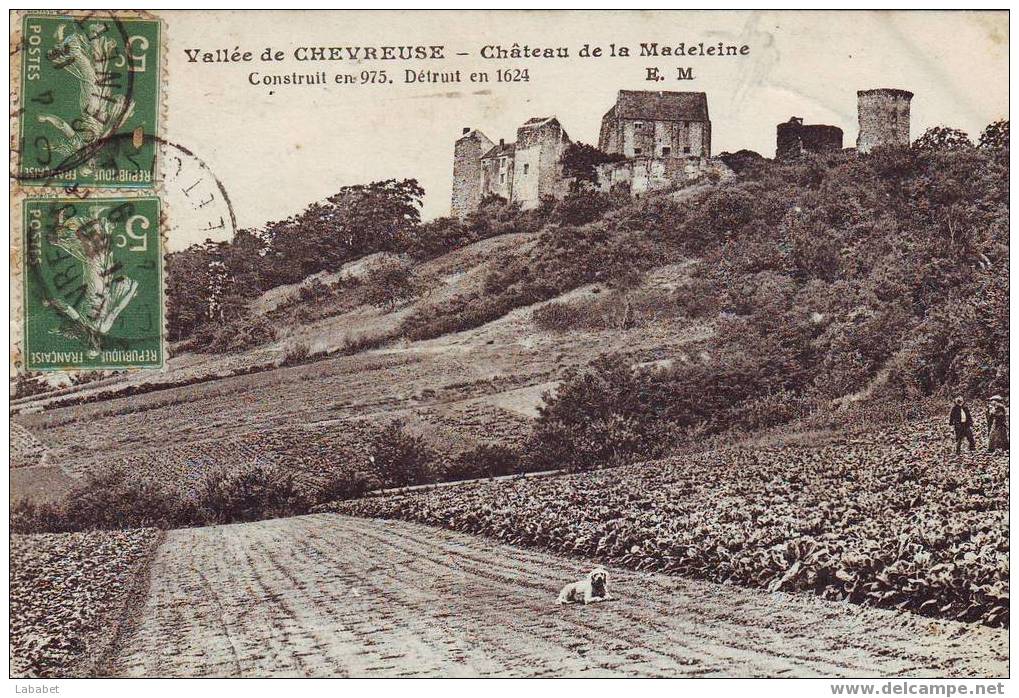 CHEVREUSE  CHATEAU DE LA MADELEINE - Chevreuse