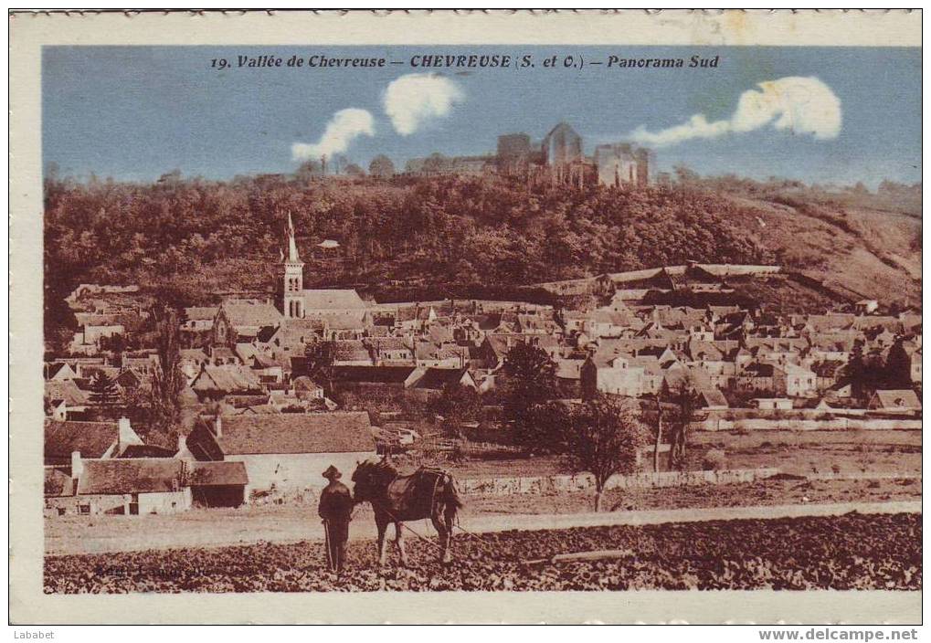 CHEVREUSE  N°19 PANORAMA SUD - Chevreuse