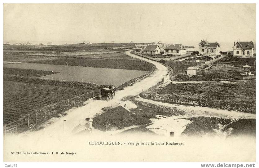 LE POULIGUEN 44 - Vue Prise De La Tour Rochereau - Attelage - Le Pouliguen