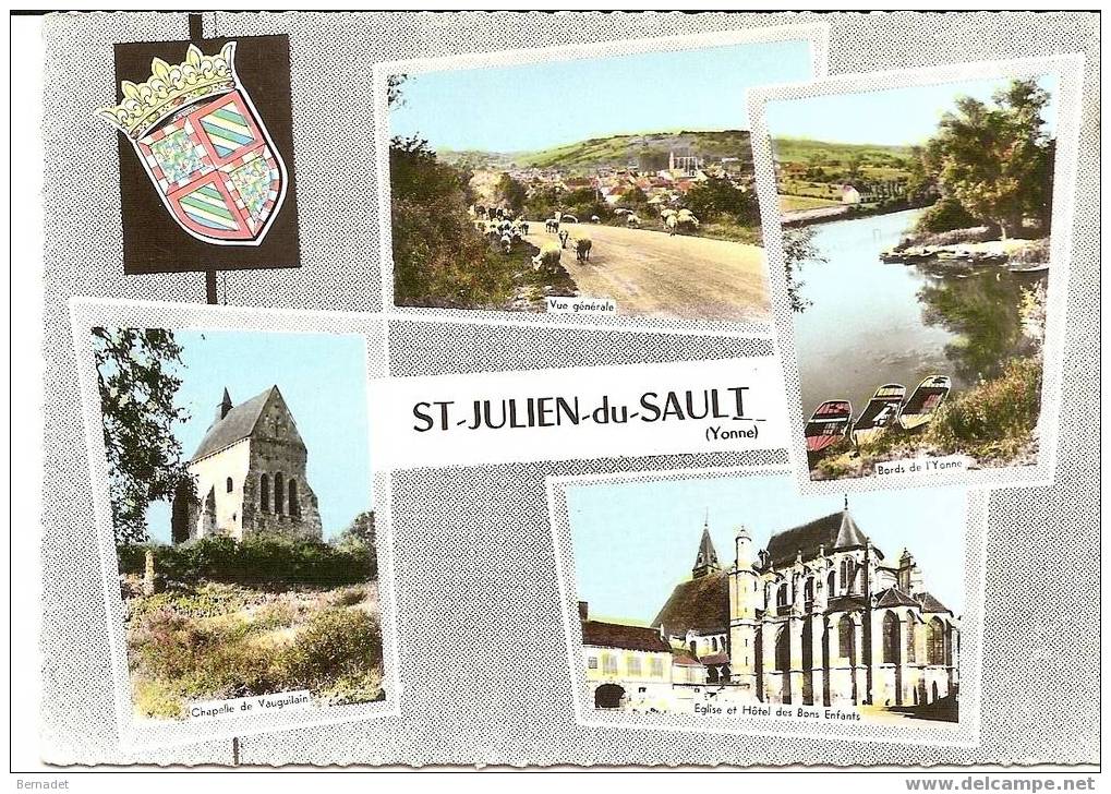 SAINT JULIEN DU SAULT...MULTI VUES - Saint Julien Du Sault