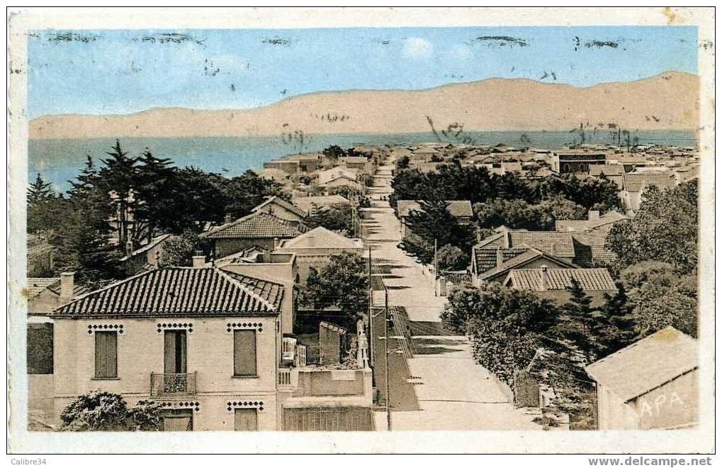 66 CANET PLAGE Avenue Tixador  ( 1948) - Canet Plage