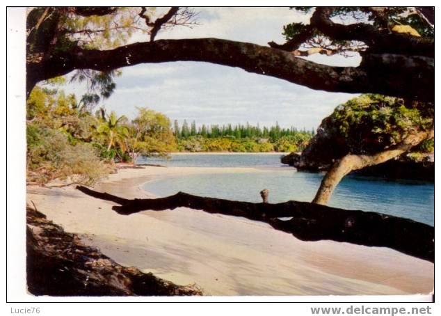 NOUVELLE CALEDONIE -  La Baie De KANUMERA - Nouvelle Calédonie