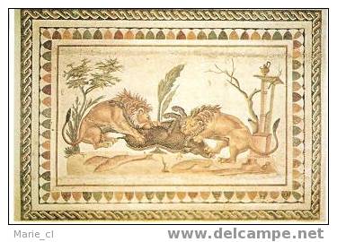 Mosaïque Romaine Du Musée D´El Jem (Tunisie) : 2 Lions Dévorant Leur Proie - Antike