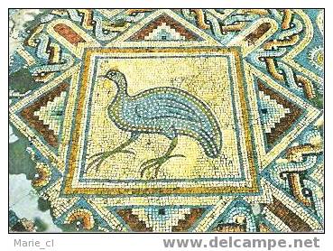 Mosaïque De LIMASSOL ( Chypre) - Ancient World