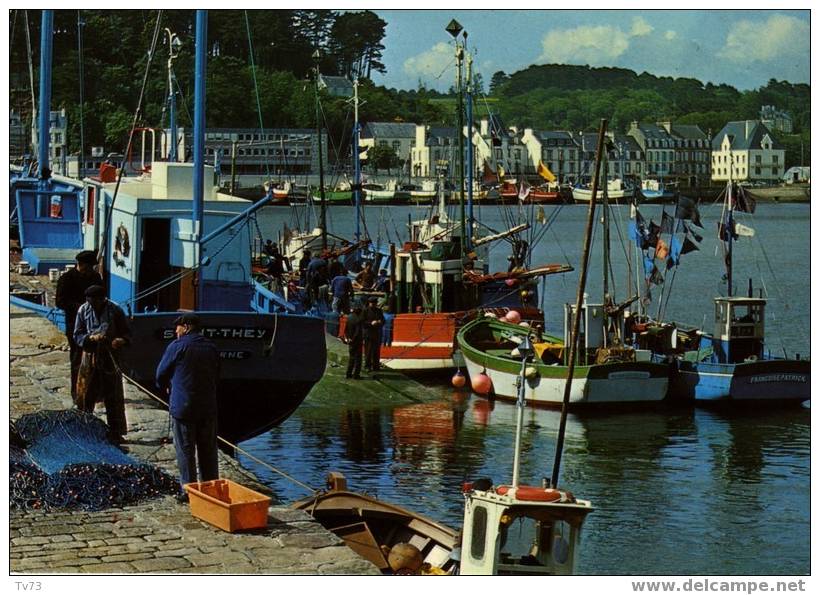 Cpb 619 - Déchargement Du Poisson à AUDIERNE (29 - Finistère) - Audierne