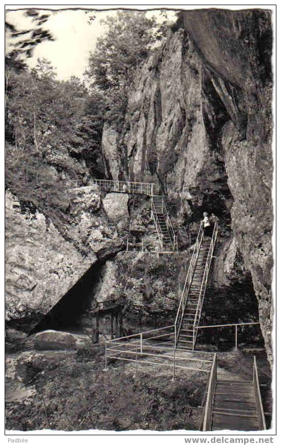 Carte Postale  39.  Champagnole  Porte De L'Ain  La Passerelle - Champagnole