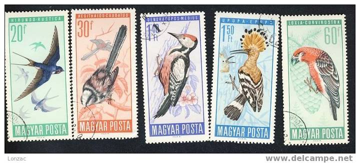 Oiseau - Bird - Hongrie – Magyar Posta : Lot Oiseaux - Birds - Collections, Lots & Series