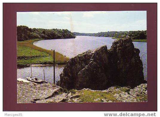 17196 La Roche-bernard La Vilaine N°12 édit.artaud Belle Cpsm - La Roche-Bernard