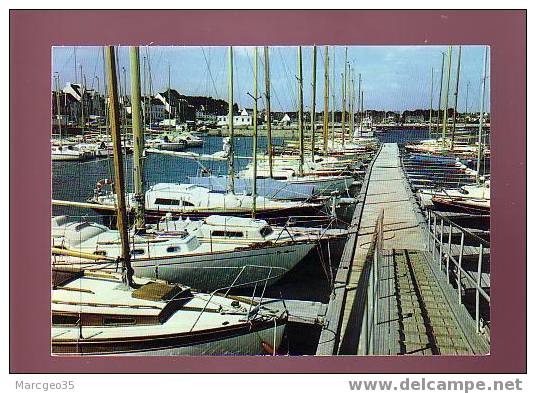 17220 La Trinité Sur Mer Le Port N°27 édit.artaud Belle Cpsm - La Trinite Sur Mer