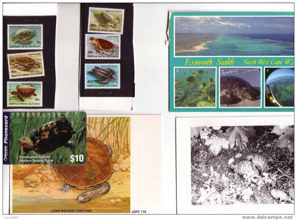 3 + 1 Carte De Tortue + Timbres / 3 + 1 Tortoise Card + Stamps - Tartarughe