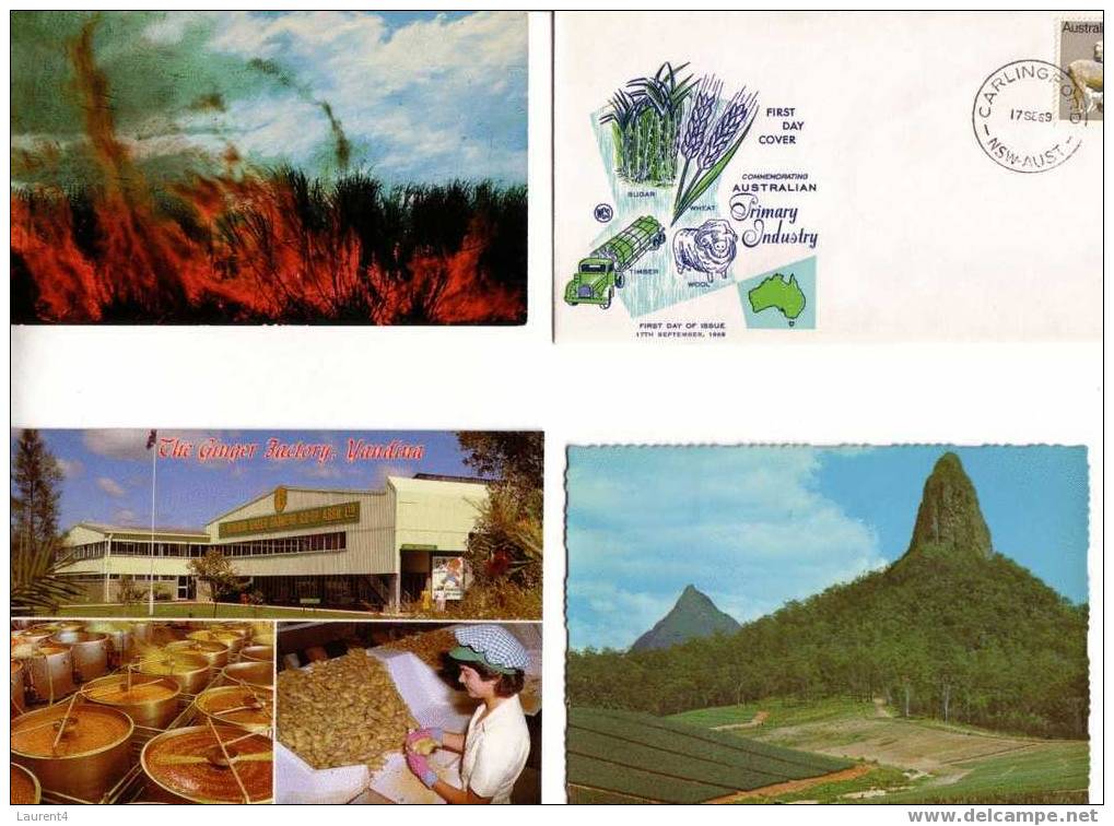 Enveloppe Et Carte Sur Le Sucre Et Agriculture / Sugar - Food Postcard & Covers - Culturas