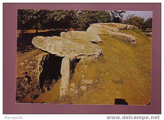 17351 Locmariaquer Le Dolmen De Mané-réthual N°11 édit.artaud Belle Cpsm - Locmariaquer