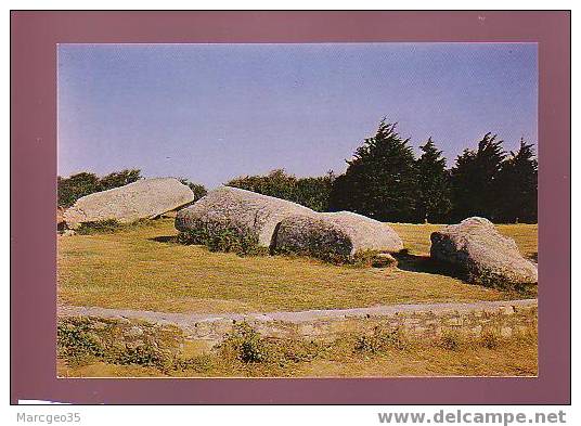 17361 Locmariaquer Le Grand Menhir Brisé N°14 édit.artaud Belle Cpsm - Locmariaquer