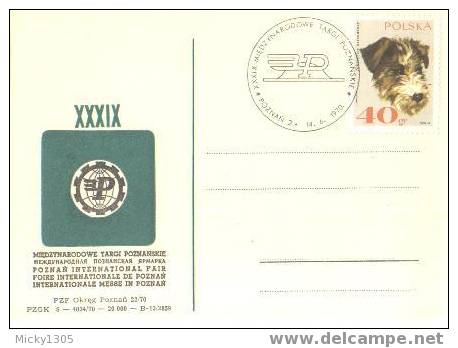 Polen / Poland - Postkarte Sonderstempel / Postcard Special Cancellation (R088) - Lettres & Documents