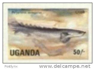 UGANDA 1985, Grey Bichir Fish 50s, IMPERF.  [non Dentelé,geschnitten,no Dentado,non Dentellato,ongetande] - Uganda (1962-...)