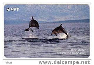 CROATIA - 1998/TK35 - Dobri Dupin - Bottlenose Dolphin - 100 Imp - 2/98 - 50.000 - Delfines