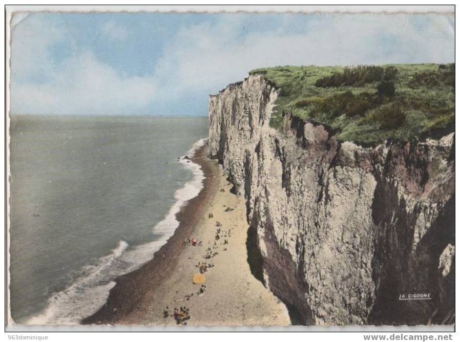 Veules-les-Roses. Vue Générale De La Plage Prise Des Falaises D´amont - Veules Les Roses