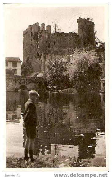 Clisson. Vieux Château Et La Sèvre - Clisson