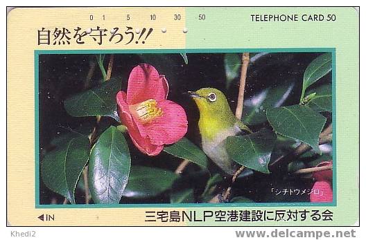 Télécarte Japon / 110-46185 - OISEAU Passereau / Fauvette Japonaise & Fleur - Japan Bird & Flower Phonecard - Vogel TK - Uccelli Canterini Ed Arboricoli