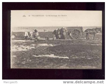 18002 Villerville Le Ramassage Des Moules édit.cap N° 35 Animée Pêche  Attelage Belle Carte - Villerville