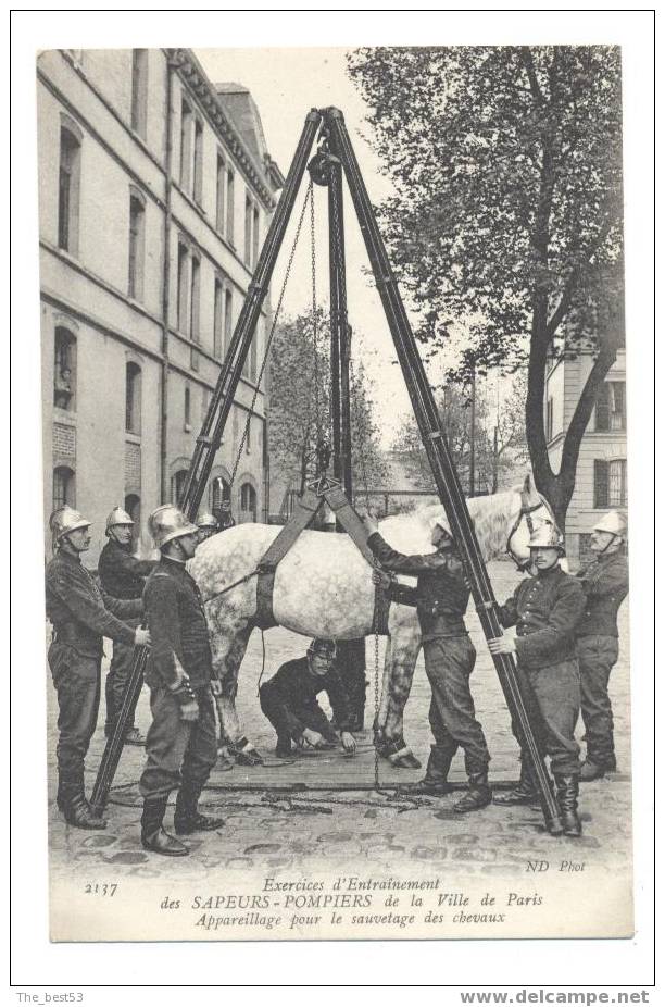 2137   -    Pompiers  -    Appareillage Pour Le Sauvetage Des Chevaux - Feuerwehr