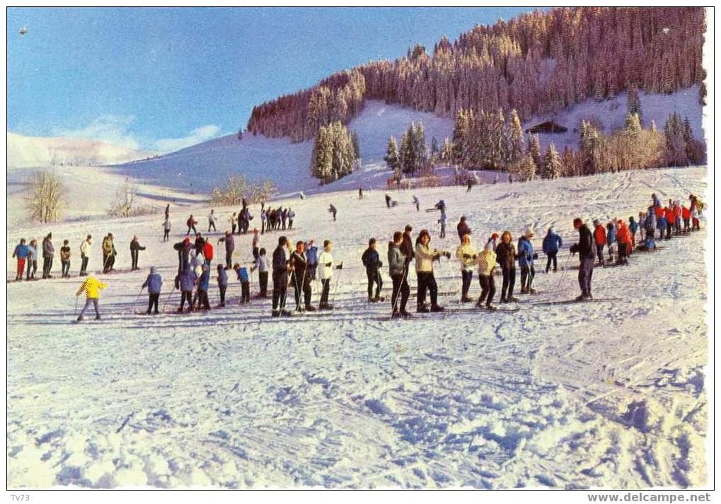 Cpb 754 - Ecole De Ski A Localiser - Amicale Laique De BRON (69 - Rhone) - Bron