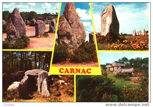 CARTE POSTALE DE CARNAC - MENHIRS ET DOLMEN - Dolmen & Menhirs