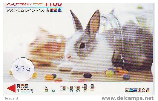 KONIJN Rabbit LAPIN Op Telefoonkaart (354) - Conigli
