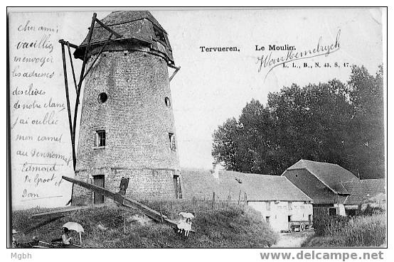 Tervueren Moulin - Tervuren