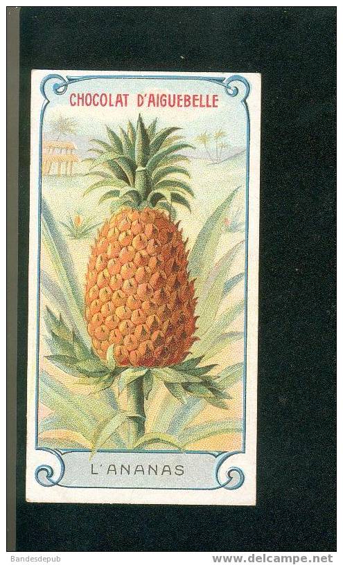 Aiguebelle Chromo Didactique Fruit Comestible Ananas - Aiguebelle