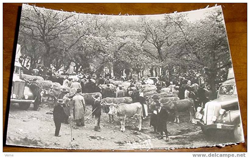 ANTIGUA FOTO POSTAL - TIPICAS DE GALICIA Nº 210 - O TOURAL - ED. ARTIGOT - Lugo