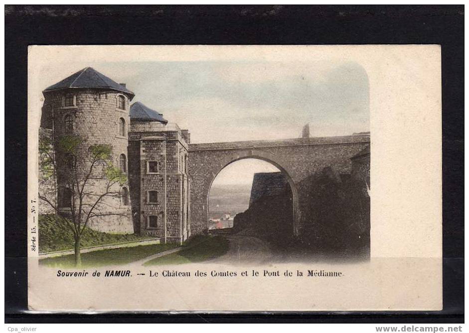 BEL NAMUR Souvenir De, Chateau Des Comtes Et Pont De La Médianne, Colorisée, Ed Vanderauwera Série 15 N° 7, Dos 1900 - Namur