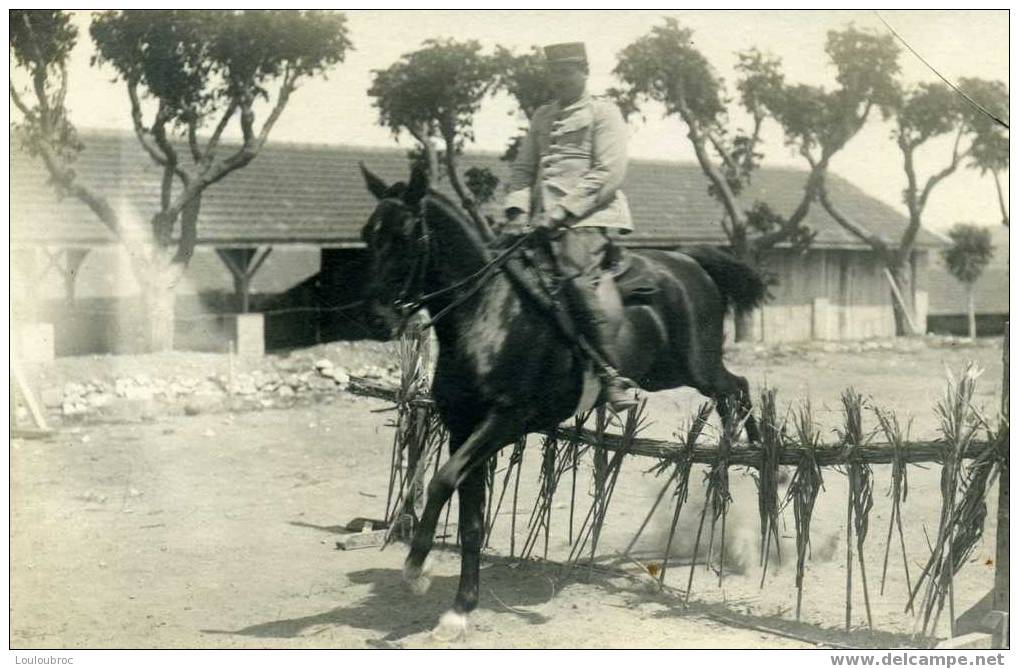 CARTE PHOTO MILITAIRE  EN EXERCICE - Chevaux